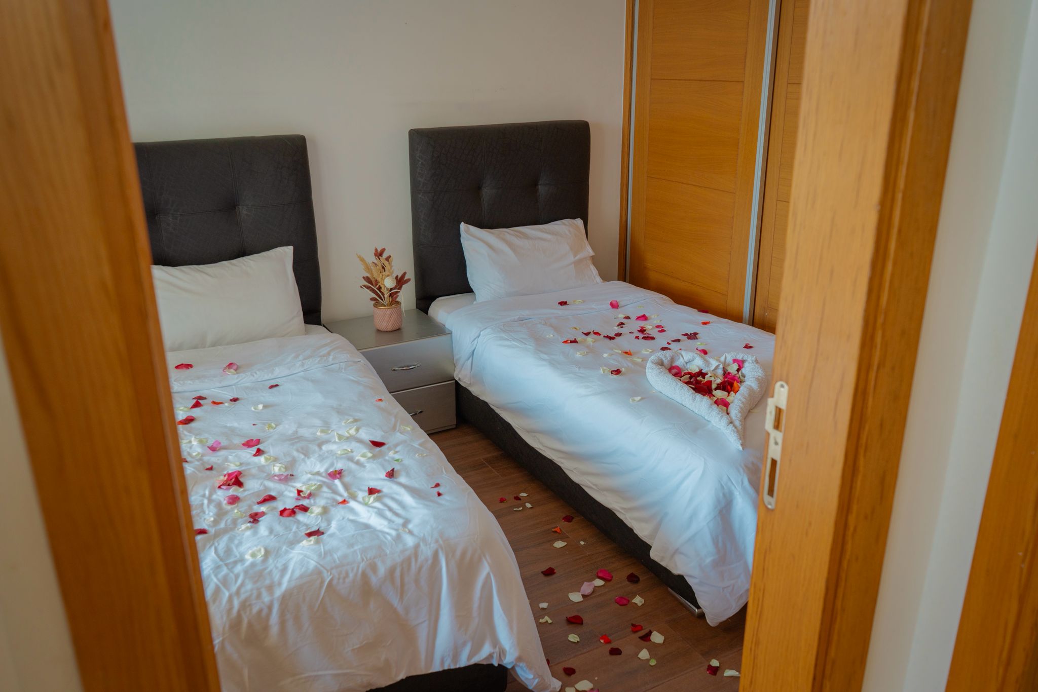 Residence hivernage - photo 2