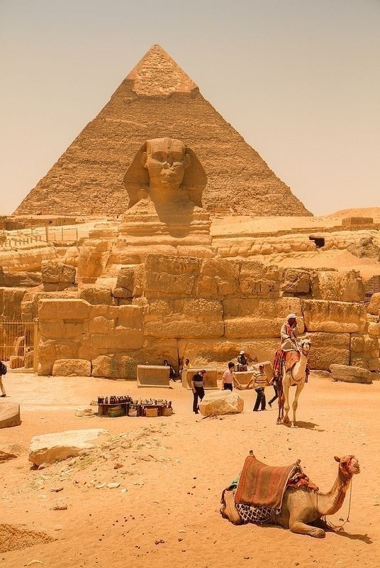 Circuit Egypte (CAIRE - HURGHADA)