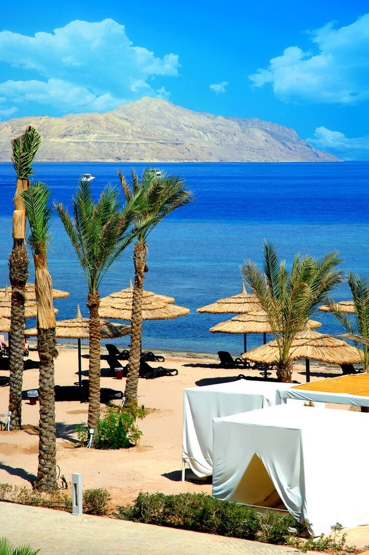 Jour 5, 6, 7, 8, 9,10 : SHARM SHEIKH