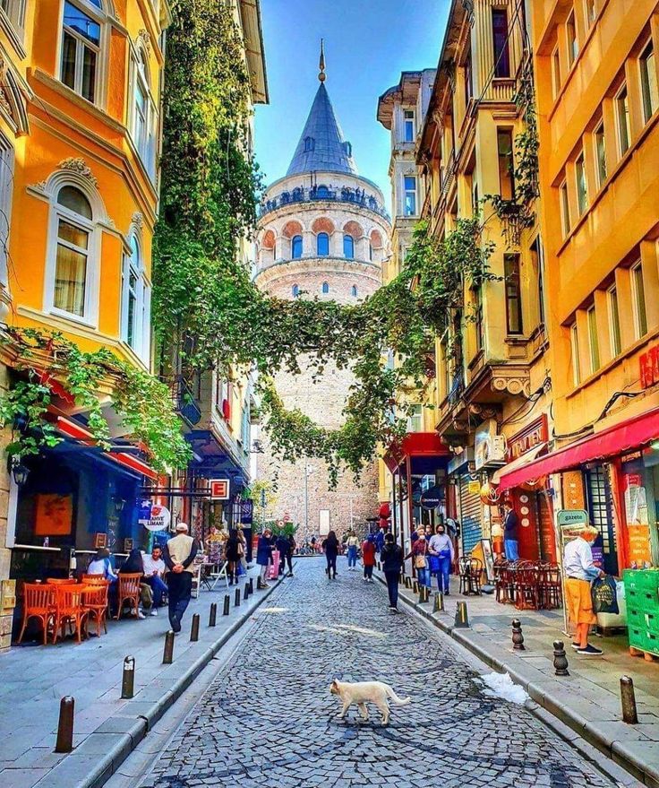 Grand Tour Turquie 2026 – Istanbul, Izmir, Pamukkale, Fethiye & Antalya - photo 2